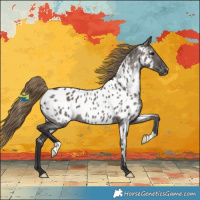 Horse Color:Smoky Grullo Appaloosa Rabicano 
