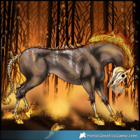 Horse Color:Powder White Sable Champagne Rabicano