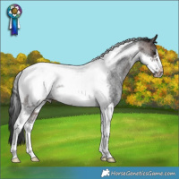 Horse Color:Brown Roan Tobiano Frame Rabicano 
