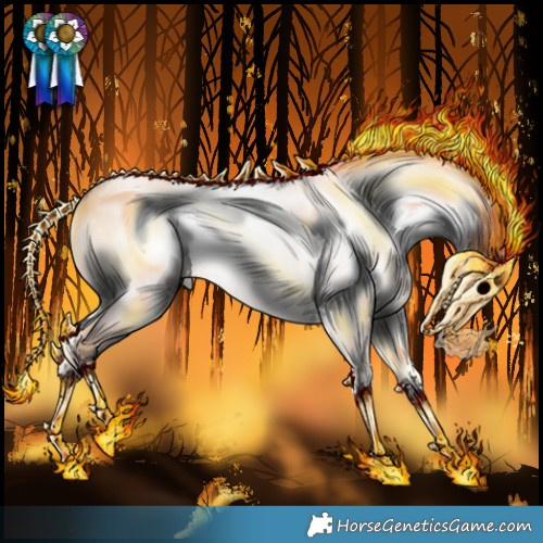 Horse Color:Gray Gold Champagne Onyx Rabicano 