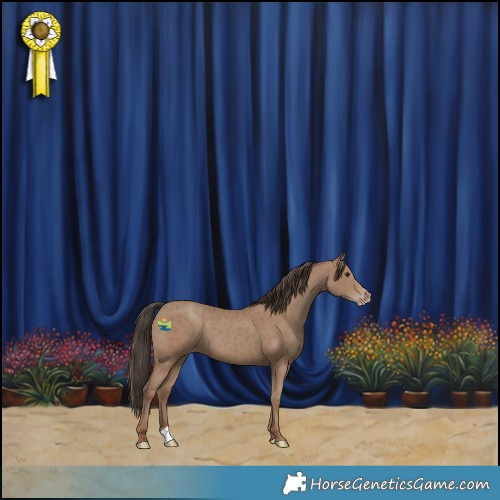 Horse Color:Classic Champagne 