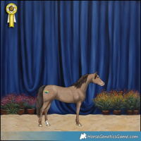 Horse Color:Classic Champagne 