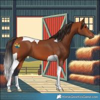 Horse Color:Bay Tobiano 