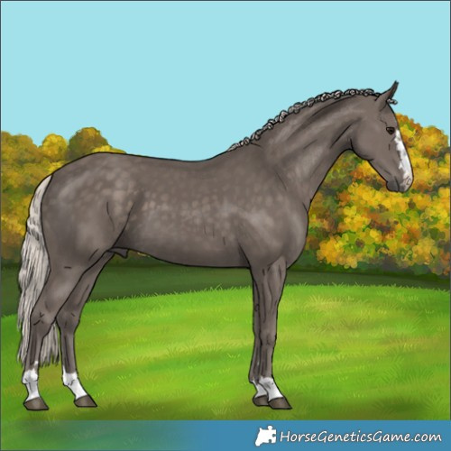 Horse Color:Silver Black 