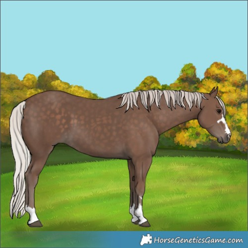 Horse Color:Silver Black 
