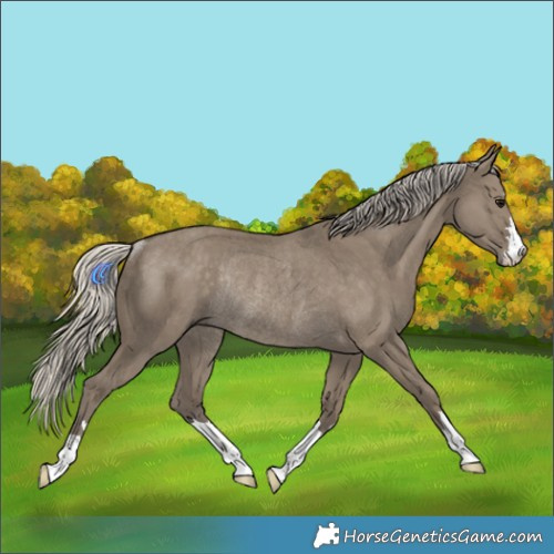Horse Color:Silver Smoky Grullo Rabicano 