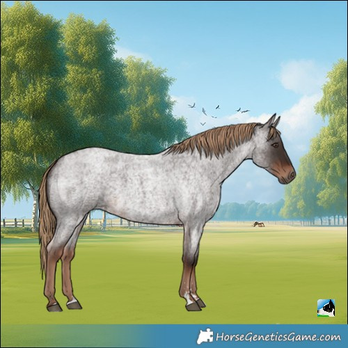 Horse Color:Liver Red Roan 