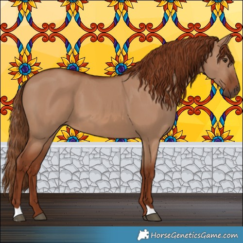 Horse Color:Red Dun