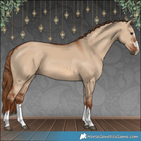 Horse Color:Red Dun