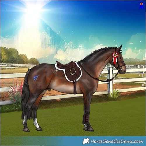 Horse Color:Powder White Brown Rabicano 