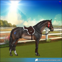 Horse Color:Powder White Brown Rabicano 