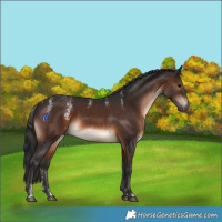 Horse Color:Powder White Brown Rabicano 