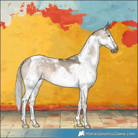 Horse Color:Gray Silver Brown Dun Splash Tobiano Varnish 