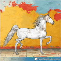Horse Color:Gray White Spotted Silver Buckskin Splash Tobiano Appaloosa 