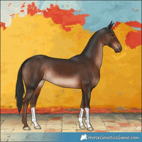 Horse Color:Liver Chestnut 
