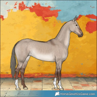 Horse Color:Liver Red Dun Mushroom 
