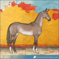 Horse Color:Liver Red Dun Mushroom 
