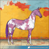 Horse Color:Watercolor White Spotted Liver Red Dun 
