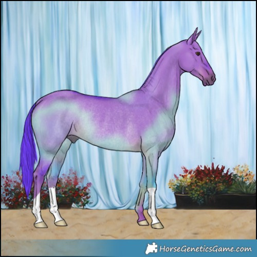 Horse Color:Watercolor Liver Red Dun Rabicano 