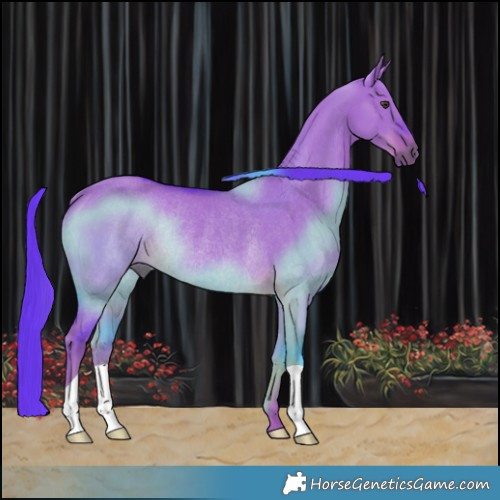 Horse Color:Watercolor Liver Red Dun Rabicano 