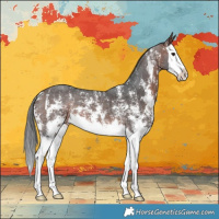 Horse Color:Bay Sabino Splash 