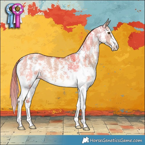 Horse Color:Red Dun Sabino