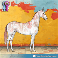 Horse Color:Red Dun Sabino 