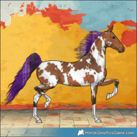 Horse Color:Painted White Spotted Bay 