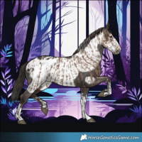 Horse Color:Liver Red Dun Blanket  and Liver Chestnut Frame Blanket 