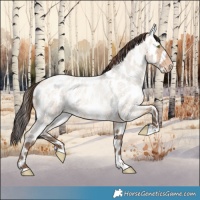 Horse Color:Amber Champagne Roan Dun Leopard 