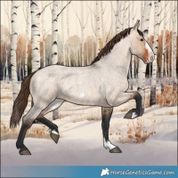 Horse Color:Bay Roan Dun Splash Frame Varnish 