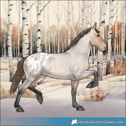 Horse Color:Bay Roan Dun Appaloosa 