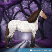 Horse Color:Bay Roan Dun Near Leopard 
