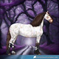 Horse Color:Bay Roan Dun Near Leopard 