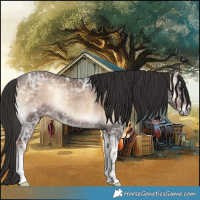 Horse Color:Liver Red Onyx Ice Rabicano 