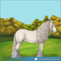 Horse Color:Perlino 