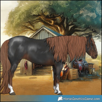 Horse Color:Liver Chestnut Tobiano 