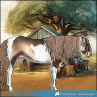 Horse Color:Liver Red Onyx Tobiano Rabicano 