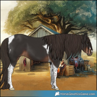 Horse Color:Liver Chestnut Tobiano 