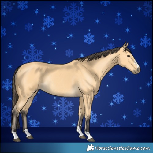 Horse Color:Buckskin Rabicano 