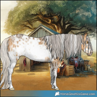 Horse Color:White Spotted Silver Buckskin Ice Frame 
