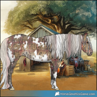 Horse Color:Plaid  White Spotted Silver Buckskin Ice 