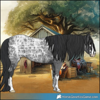 Horse Color:Black Ice 