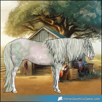 Horse Color:Watercolor Chocolate Palomino Ice Pearl Sabino 