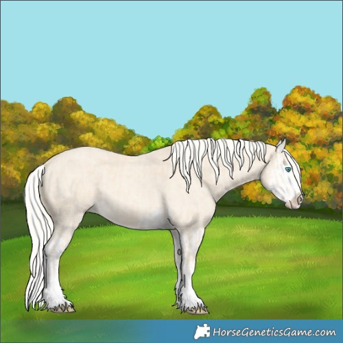 Horse Color:Cremello Splash  and Cremello Dun Splash 