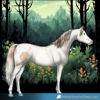 Horse Color:Red Roan Splash Tobiano  and White Spotted Smoky Blue Roan Pearl Splash 