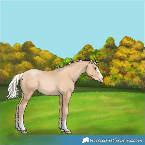 Horse Color:Silver Buckskin Pearl 