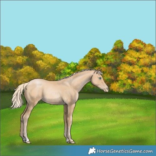 Horse Color:Palomino Pearl 