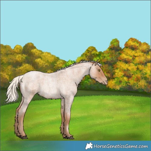 Horse Color:Silver Blue Roan Pearl 