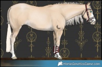 Horse Color:Palomino Pearl 